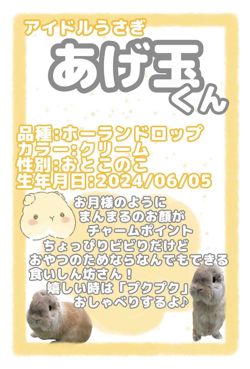 USAGIのしっぽᕱ⋈ᕱ様 オーダー専用ページ