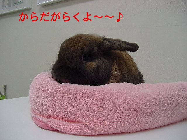 DSC00003.JPG