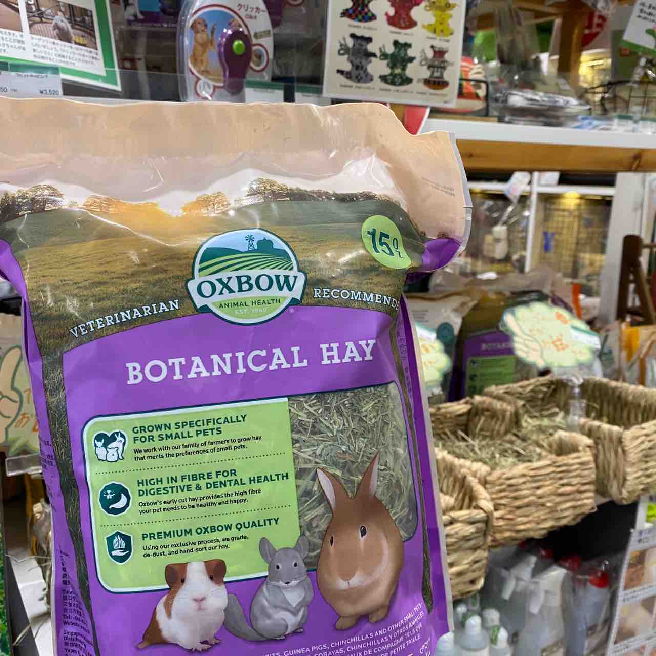 うさぎブログ うさぎのしっぽ公式ブログ 日々しっぽ うーさんの日店頭開催していますよ