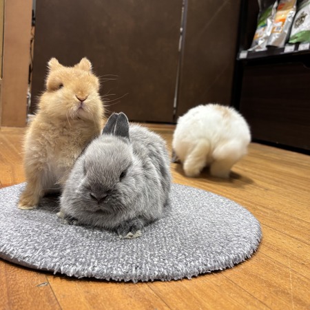 60468929-B71A-45C6-91FF-F6F9B5DD2EB3