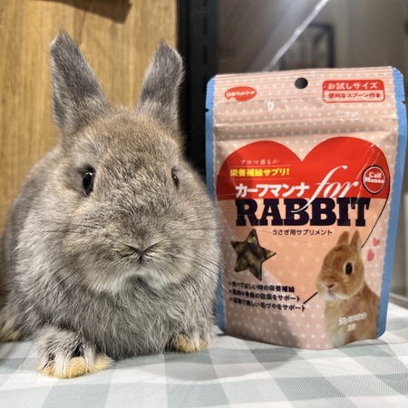換毛期のうさちゃんにはカーフマンナをあげるべし！！ : うさぎブログ