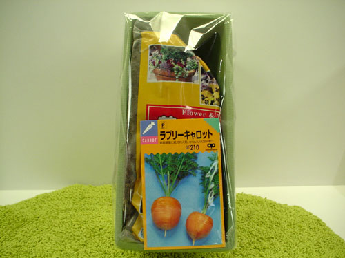 blog0729