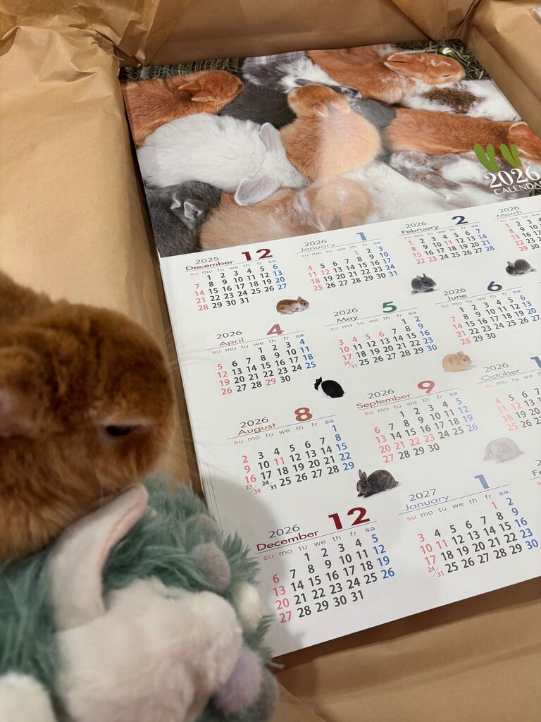 年末年始セール鋭意準備中！ : うさぎブログ うさぎのしっぽ公式ブログ