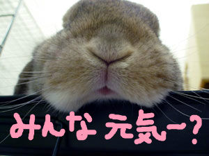 BlogPaint