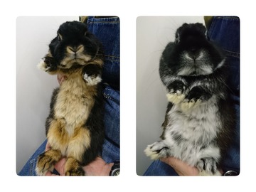 19-02-22-16-30-12-796_deco