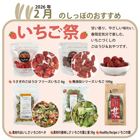 2026年2月のおすすめ