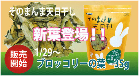 ぶろ