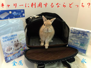 BlogPaint
