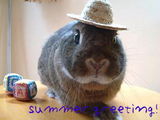 summergreeting