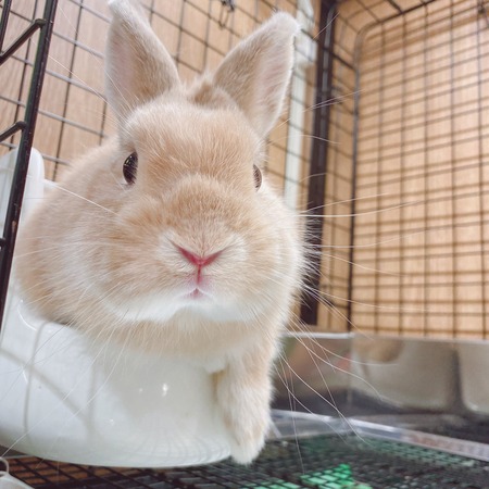 FAC90FDB-07DC-429B-84D2-A1DEFB39C5F5