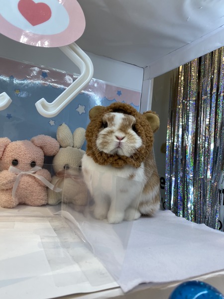 F759D859-D388-45A1-9E4E-9661FB385929