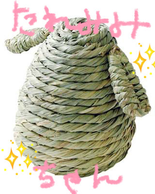 BlogPaint