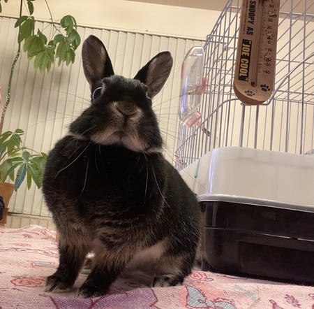 EAF582FD-6BCD-4BA7-80F2-D0F462391DF6