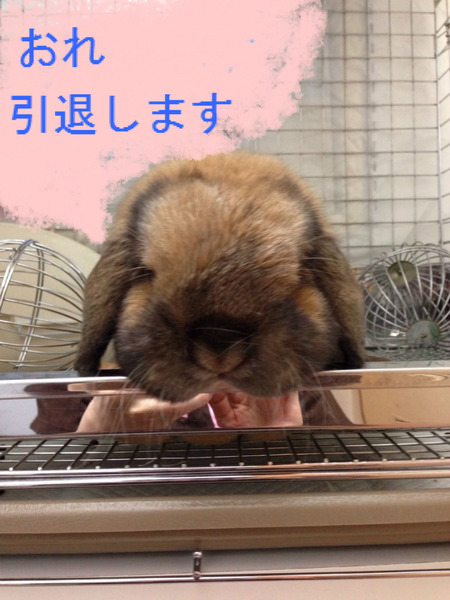 BlogPaint