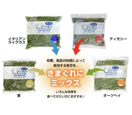 最新の写真を表示