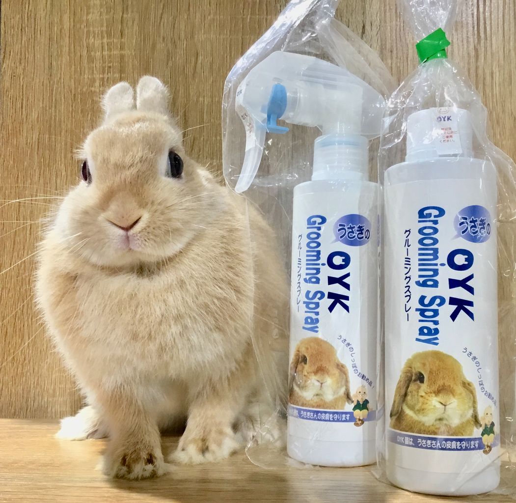 うさぎブログ うさぎのしっぽ公式ブログ 日々しっぽ 18年09月10日 Livedoor Blog ブログ うさぎブログ うさぎのしっぽ公式ブログ 日々しっぽ 18年09月10日 Livedoor Blog ブログ