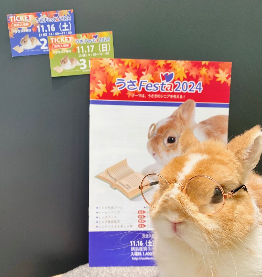 Rabbit 様　御確認用ページです。 ご利用いただける本人確認書類｜BEEP