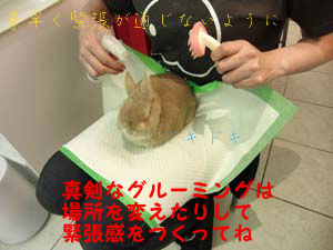 BlogPaint
