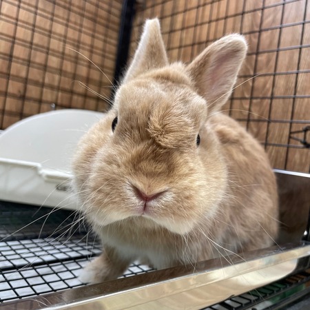 �ͤ�����1