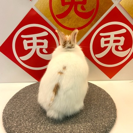 40A86DC6-22CE-4BE8-BD01-5F8B02AAFC5C