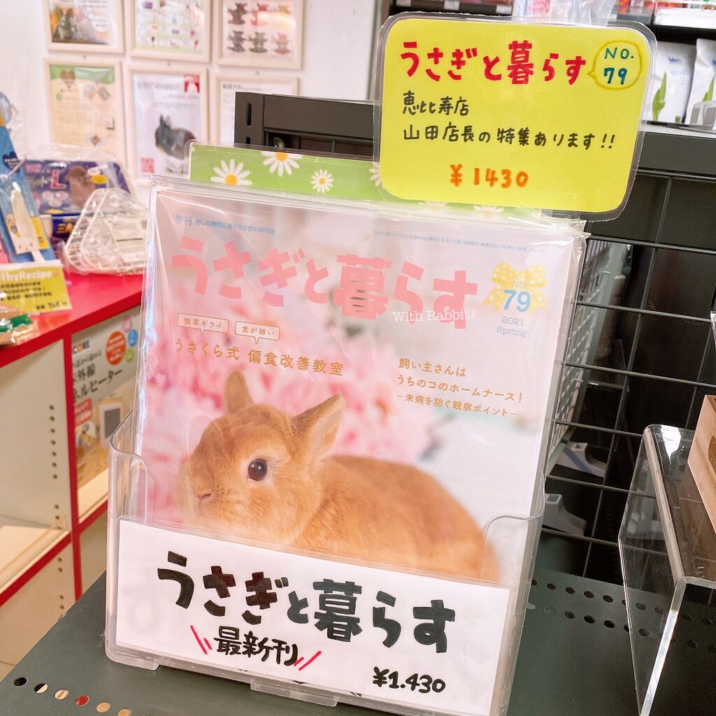 幸せなふたりに贈る結婚祝い うさぎと暮らす 2021年4月号 Riosmauricio Com 幸せなふたりに贈る結婚祝い うさぎと暮らす 2021年4月号 Riosmauricio Com