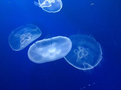 IMG_1841