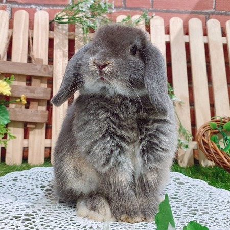 7D8B691D-F458-4617-B29C-997481B7BC0C