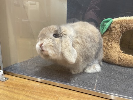 8066CC8E-660C-4B95-B80F-511E39AD05C3