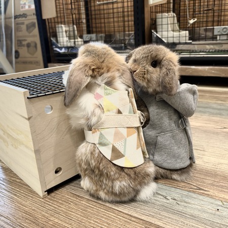 IMG_8775 - コピー