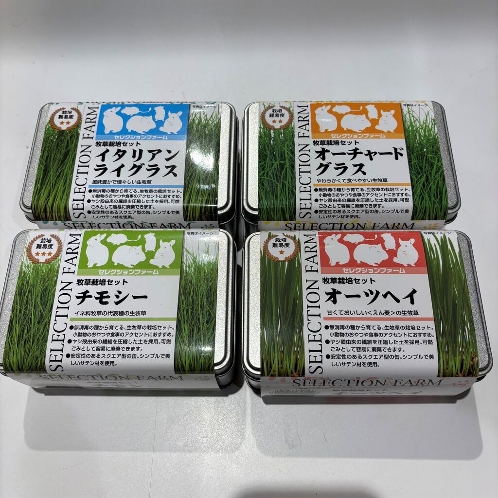育てた牧草をうさちゃんに！ : うさぎブログ うさぎのしっぽ公式ブログ