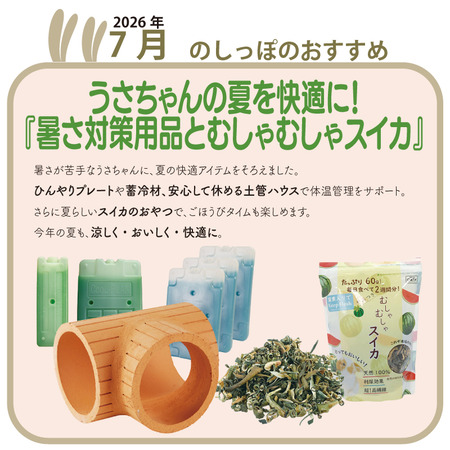暑さ対策用品とむしゃむしゃスイカ