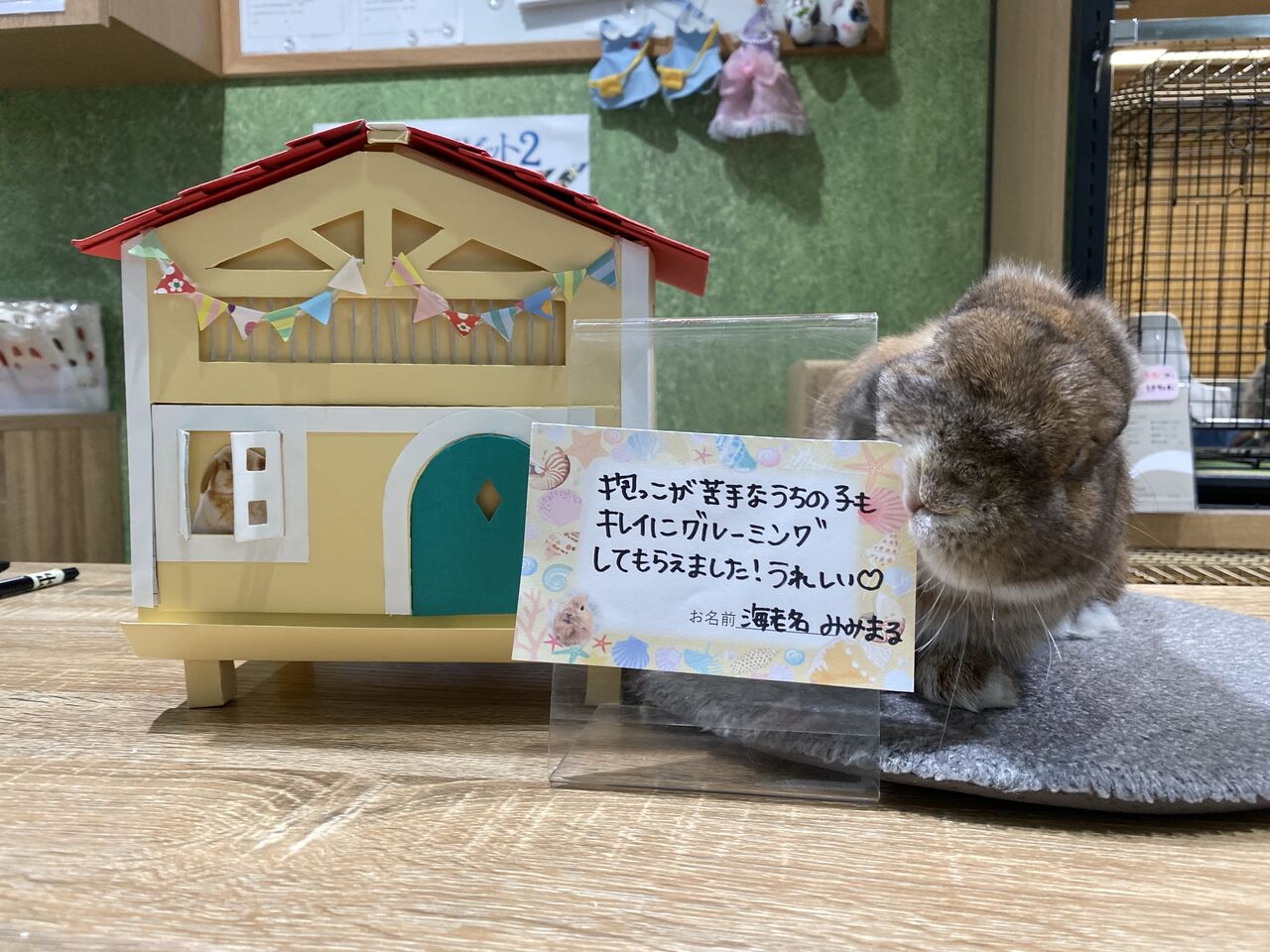 歳末在庫SALE!】弐番館 北欧デザインペットハウス うさぎの