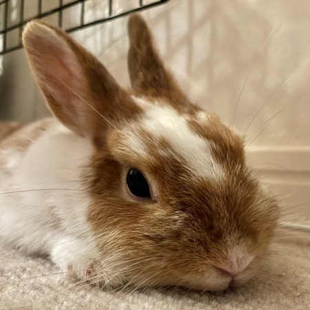 �Ϥ�����2