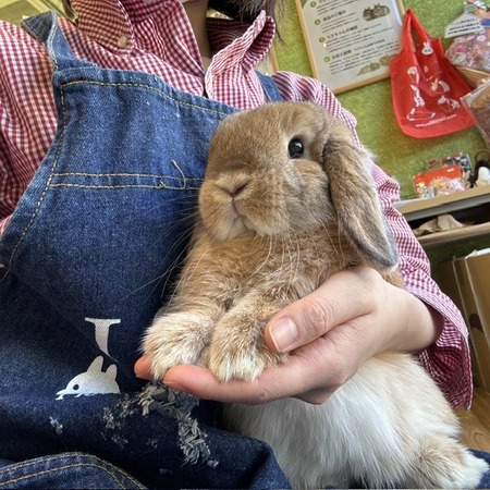 9d8ae13f-61e3-4c35-adac-4c04b8974232