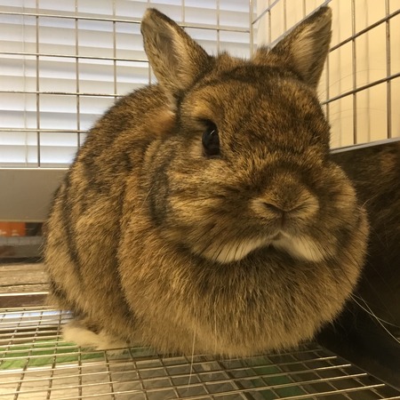 BADDD416-385C-47DD-A19F-F3B83AE0B4BF