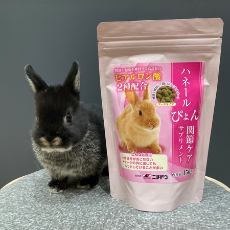 ハネールぴょん