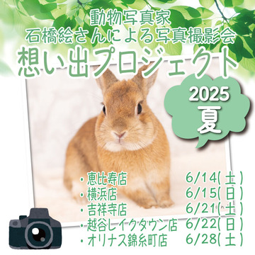 omoide202505-1