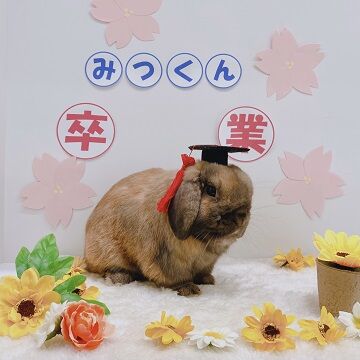 卒みつ2