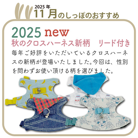 ブログバナー2025-11-1