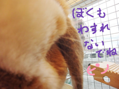 BlogPaint