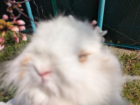 PXL_20250405_035059800