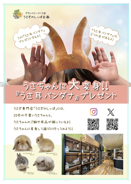 スクリーンショット 2023-10-12 15.41.41