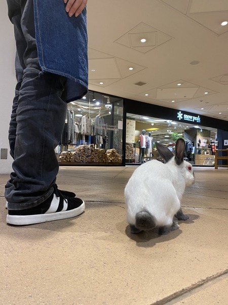 34CD1938-F324-4C51-B11C-B61CCCEFF17E