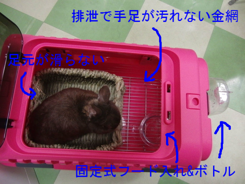 うさぎブログ うさぎのしっぽ公式ブログ 日々しっぽ 夏休みの準備はできていますか 長距離移動編 うさぎブログ うさぎのしっぽ公式ブログ 日々しっぽ 夏休みの準備はできていますか 長距離移動編