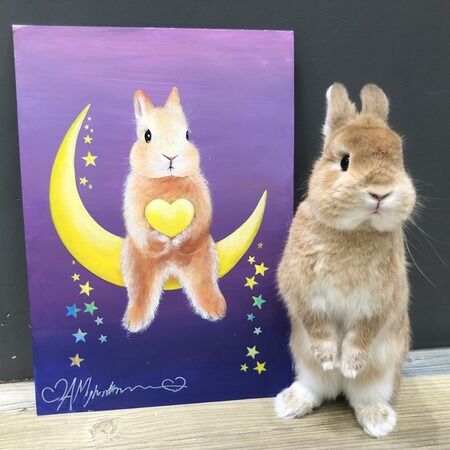 アートモガダム絵画受注会 : うさぎブログ うさぎのしっぽ公式ブログ