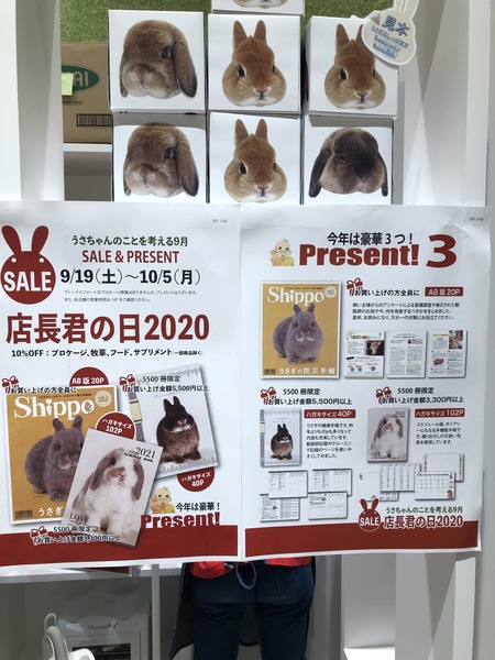 BD8D4B5E-11ED-4DED-9B3F-8D553930AB2E