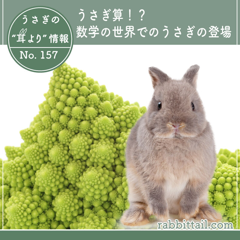 うさぎブログ うさぎのしっぽ公式ブログ 日々しっぽ うさぎの耳より情報 No 157 うさぎ算 数学の世界でのうさぎの登場