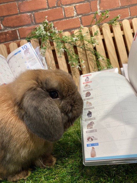 89E7C1A4-ECA1-43FD-9E38-B091FA3F7F2D