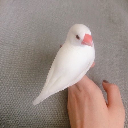 ���������1