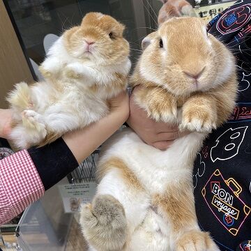 サニーくん